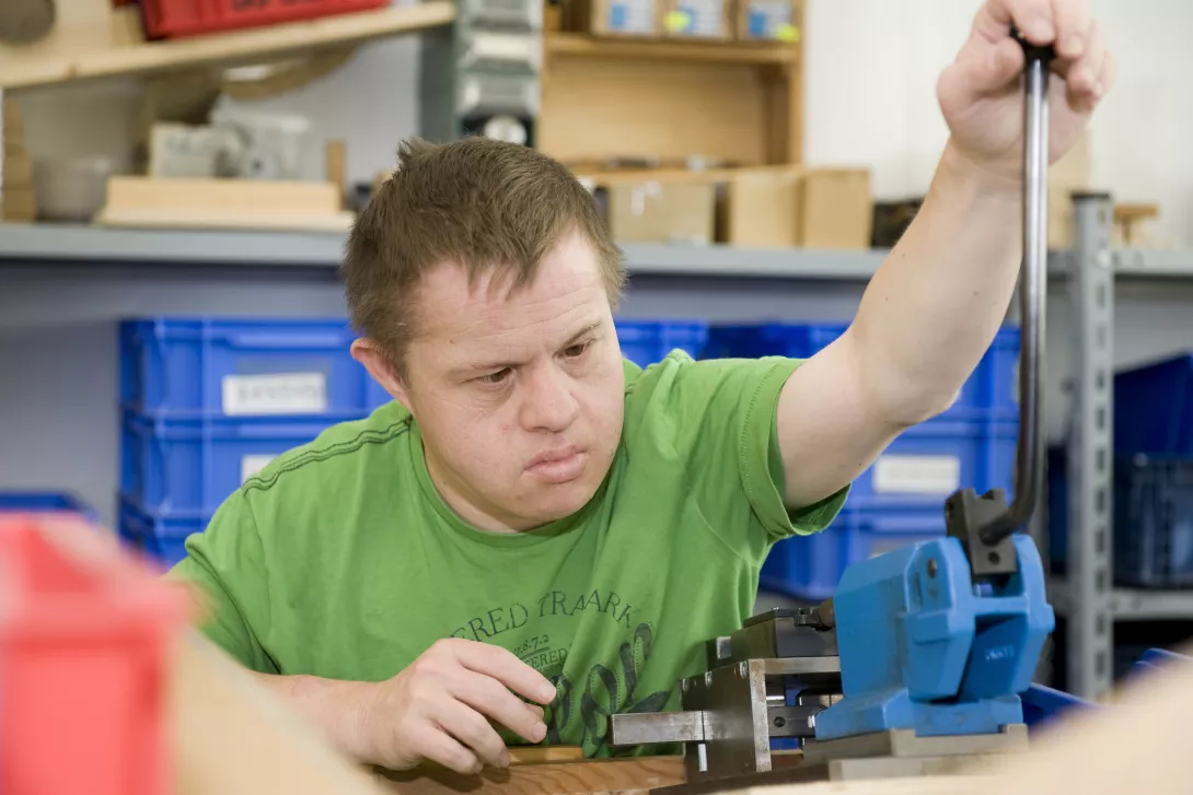 Arbeiten in der Werkstatt